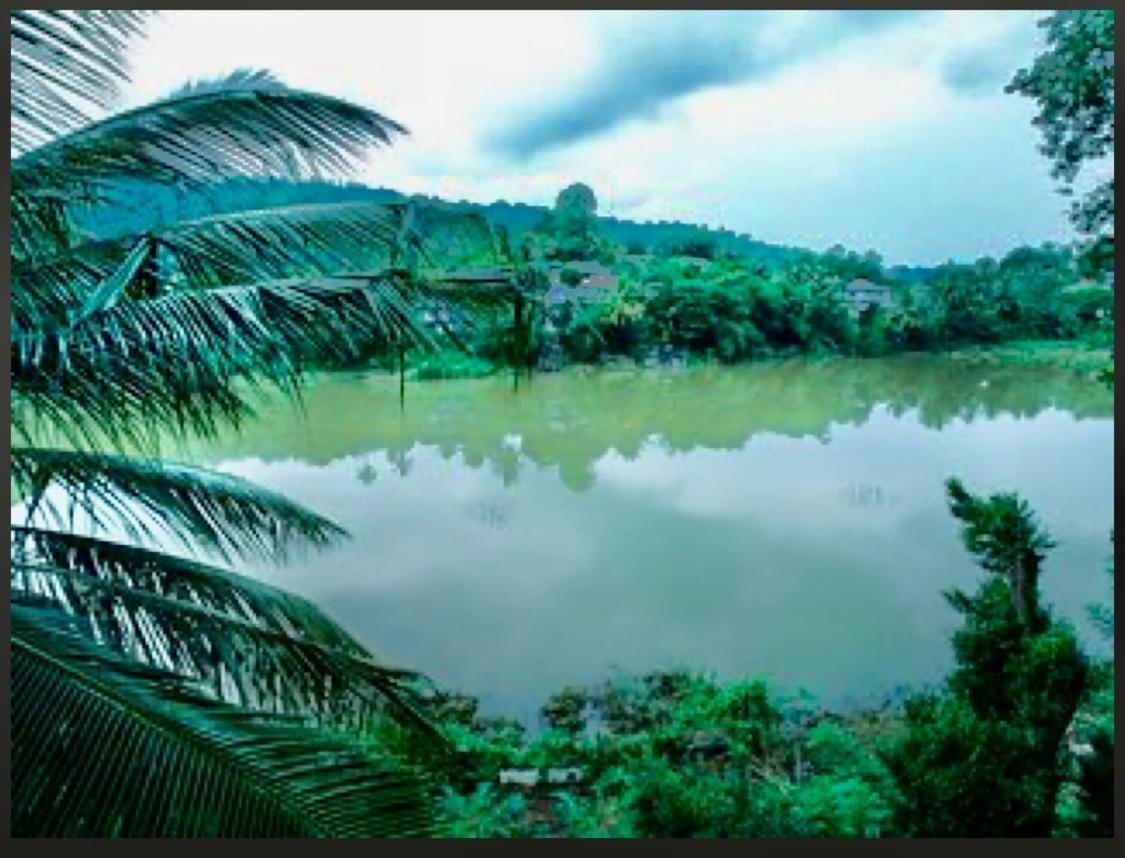 Amanzi Residence Kandy Zewnętrze zdjęcie