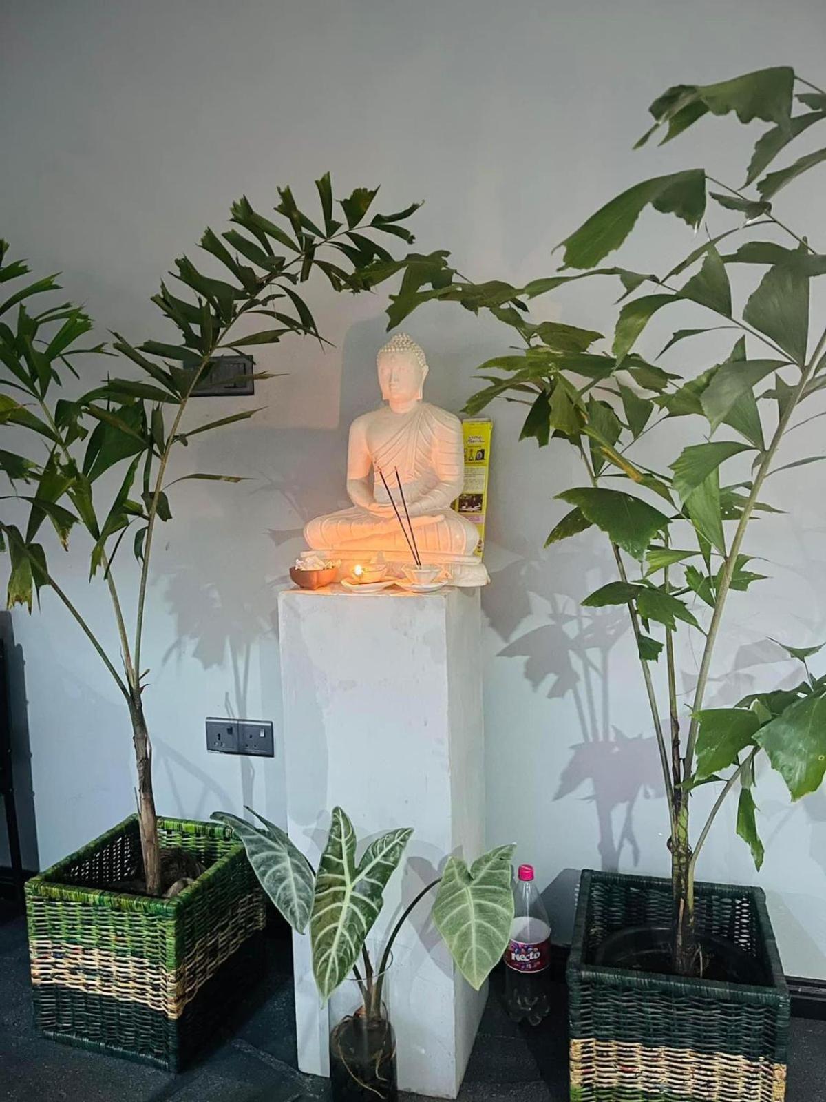 Amanzi Residence Kandy Zewnętrze zdjęcie