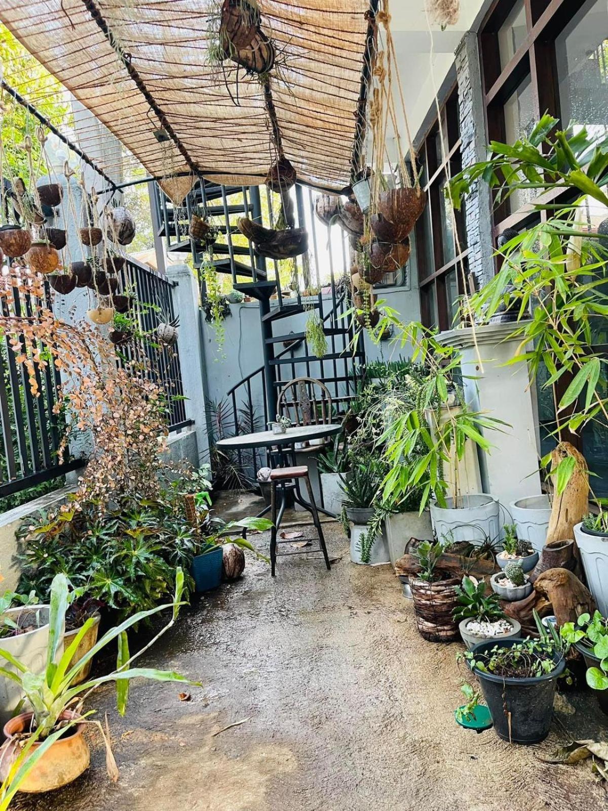Amanzi Residence Kandy Zewnętrze zdjęcie